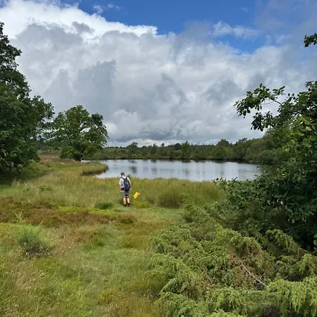 Glampingtelt Telt I Naturens Hjerte Glamping Bryrup