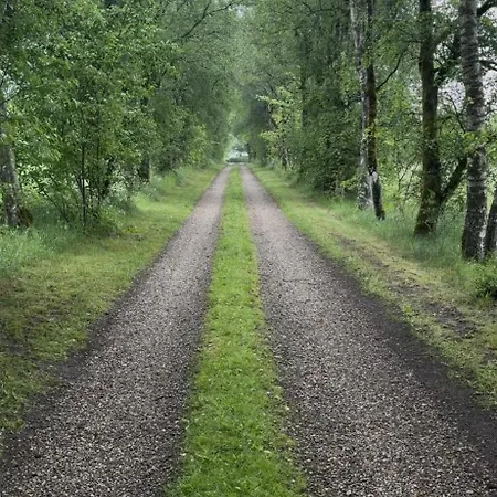 Glampingtelt Telt I Naturens Hjerte