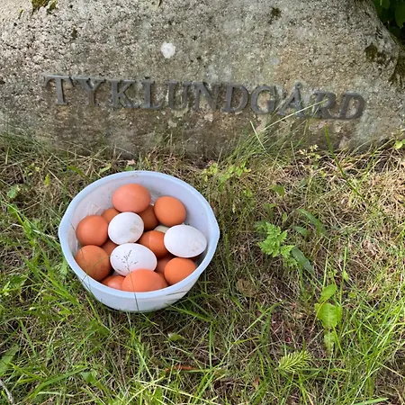 Glampingtelt Telt I Naturens Hjerte *