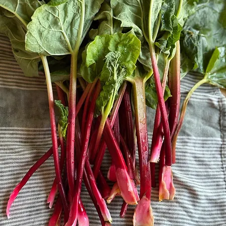 Glampingtelt Telt I Naturens Hjerte Luxury tent